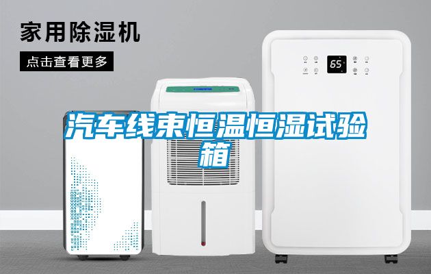 汽車(chē)線(xiàn)束恒溫恒濕試驗箱