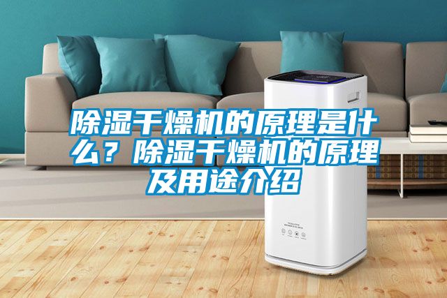 除濕干燥機的原理是什么？除濕干燥機的原理及用途介紹