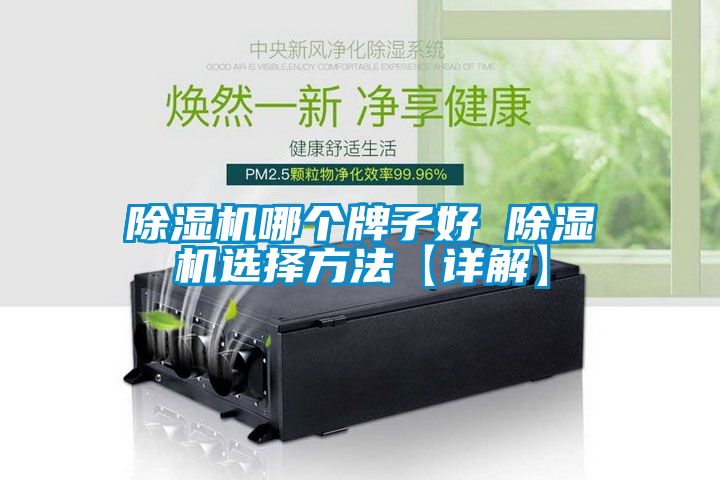 除濕機哪個(gè)牌子好 除濕機選擇方法【詳解】