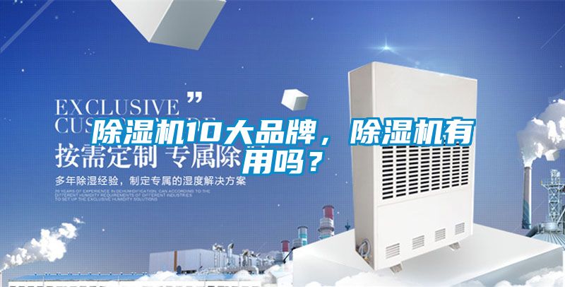 除濕機10大品牌，除濕機有用嗎？
