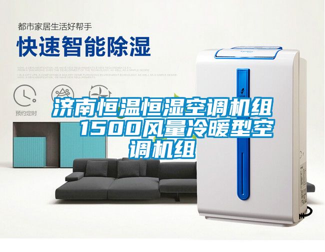 濟南恒溫恒濕空調機組  1500風(fēng)量冷暖型空調機組
