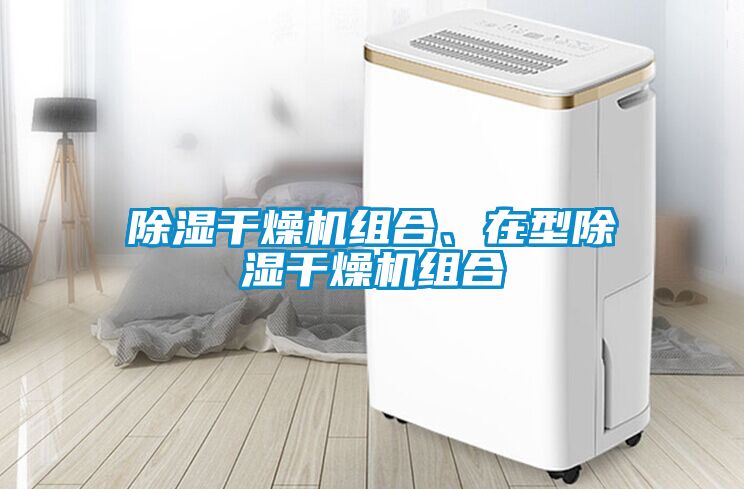 除濕干燥機組合、在型除濕干燥機組合