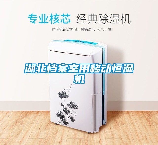 湖北檔案室用移動(dòng)恒濕機