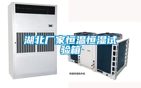 湖北廠(chǎng)家恒溫恒濕試驗箱