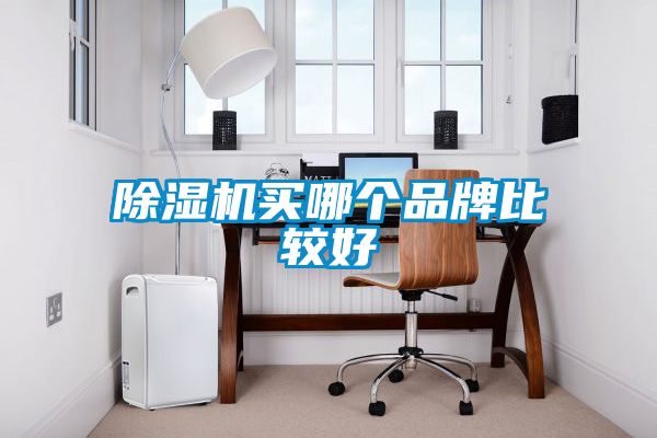 除濕機買(mǎi)哪個(gè)品牌比較好