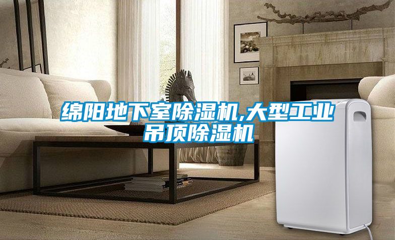 綿陽(yáng)地下室除濕機,大型工業(yè)吊頂除濕機