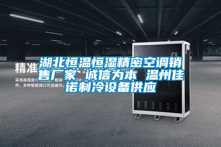 湖北恒溫恒濕精密空調銷(xiāo)售廠(chǎng)家 誠信為本 溫州佳諾制冷設備供應
