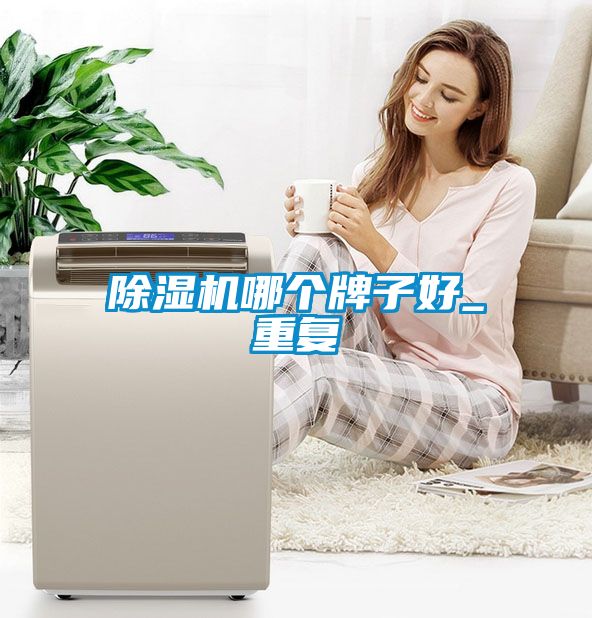 除濕機哪個(gè)牌子好_重復