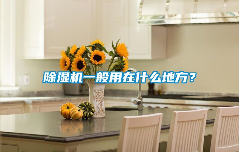 除濕機一般用在什么地方？