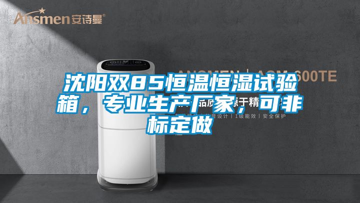 沈陽(yáng)雙85恒溫恒濕試驗箱，專(zhuān)業(yè)生產(chǎn)廠(chǎng)家，可非標定做