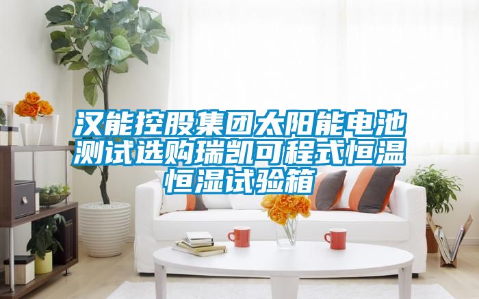 漢能控股集團太陽(yáng)能電池測試選購瑞凱可程式恒溫恒濕試驗箱