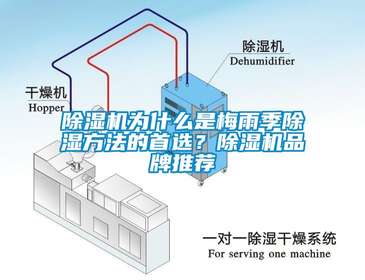 除濕機為什么是梅雨季除濕方法的首選？除濕機品牌推薦