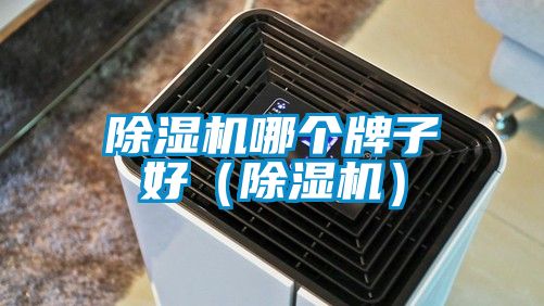 除濕機哪個(gè)牌子好（除濕機）