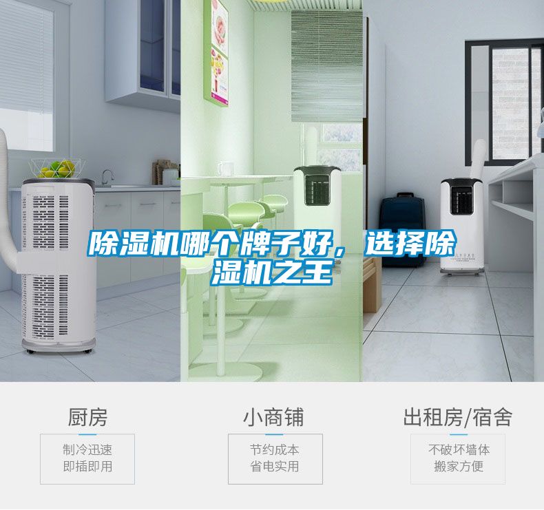 除濕機哪個(gè)牌子好，選擇除濕機之王