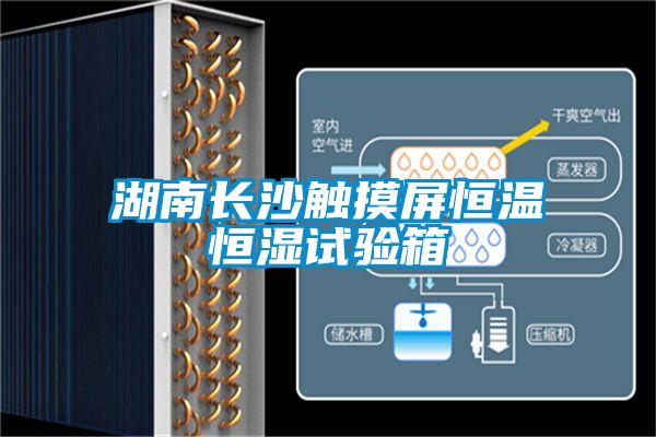 湖南長(cháng)沙觸摸屏恒溫恒濕試驗箱