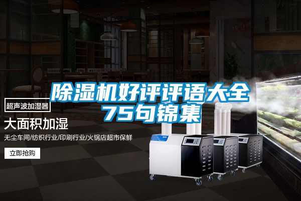 除濕機好評評語(yǔ)大全75句錦集