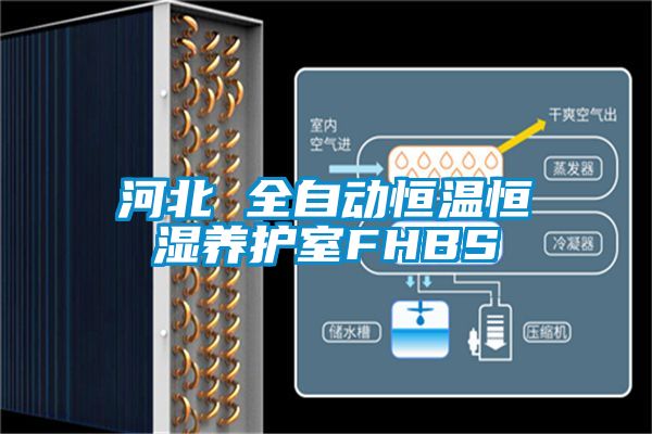 河北 全自動(dòng)恒溫恒濕養護室FHBS