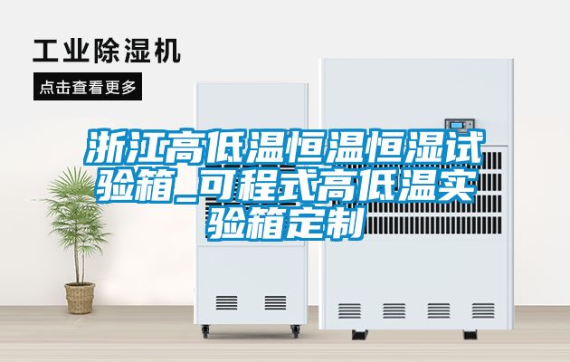 浙江高低溫恒溫恒濕試驗箱_可程式高低溫實(shí)驗箱定制