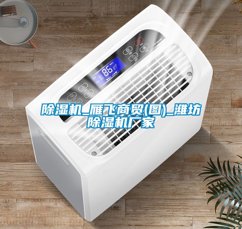 除濕機_雁飛商貿(圖)_濰坊除濕機廠(chǎng)家