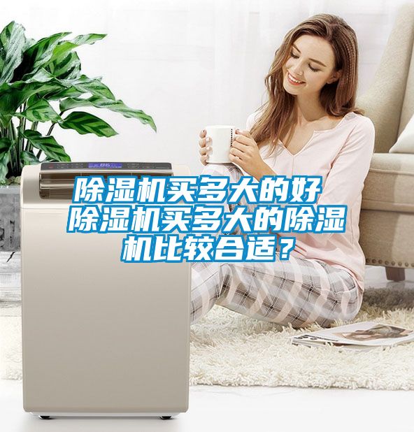 除濕機買(mǎi)多大的好 除濕機買(mǎi)多大的除濕機比較合適？