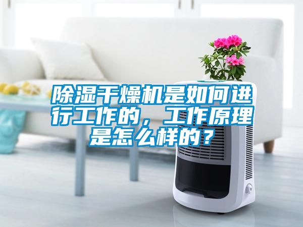除濕干燥機是如何進(jìn)行工作的，工作原理是怎么樣的？