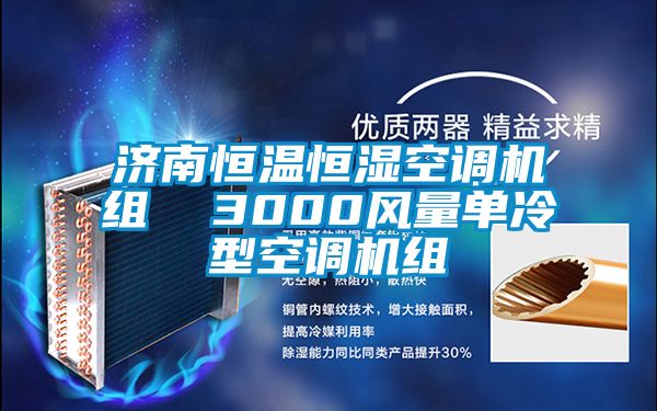 濟南恒溫恒濕空調機組  3000風(fēng)量單冷型空調機組