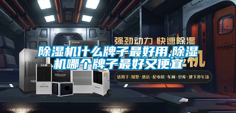 除濕機什么牌子最好用,除濕機哪個(gè)牌子最好又便宜