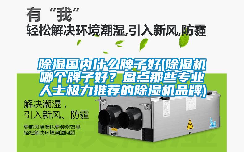 除濕國內什么牌子好(除濕機哪個(gè)牌子好？盤(pán)點(diǎn)那些專(zhuān)業(yè)人士極力推薦的除濕機品牌)