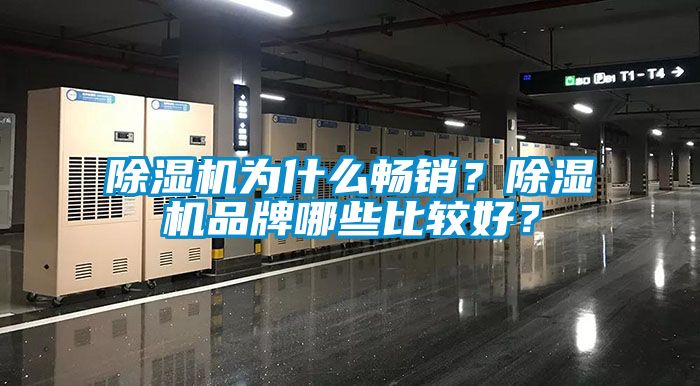 除濕機為什么暢銷(xiāo)？除濕機品牌哪些比較好？