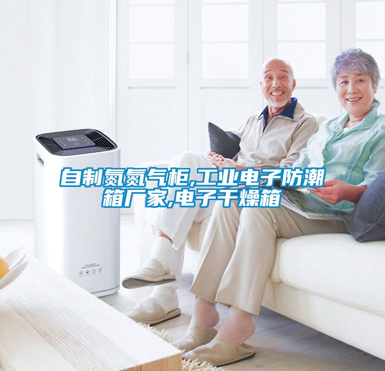自制氮氮氣柜,工業(yè)電子防潮箱廠(chǎng)家,電子干燥箱