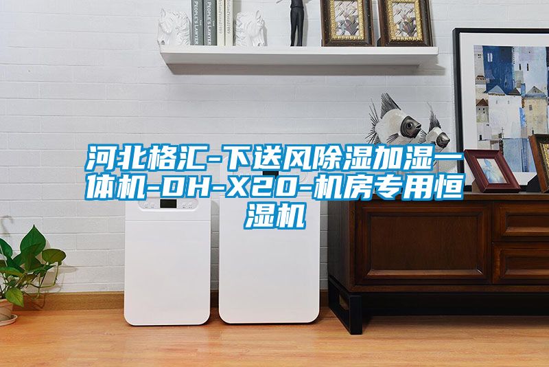 河北格匯-下送風(fēng)除濕加濕一體機-DH-X20-機房專(zhuān)用恒濕機