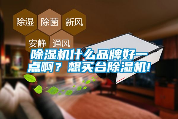 除濕機什么品牌好一點(diǎn)??？想買(mǎi)臺除濕機!