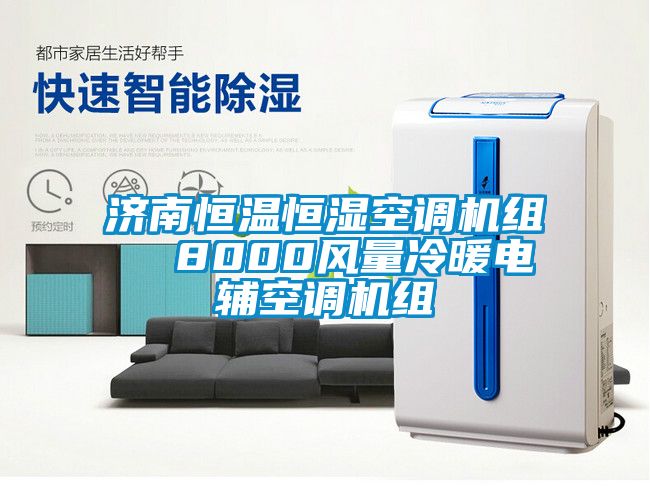 濟南恒溫恒濕空調機組  8000風(fēng)量冷暖電輔空調機組