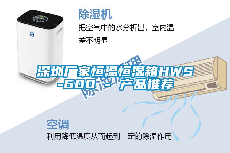 深圳廠(chǎng)家恒溫恒濕箱HWS-600 - 產(chǎn)品推薦
