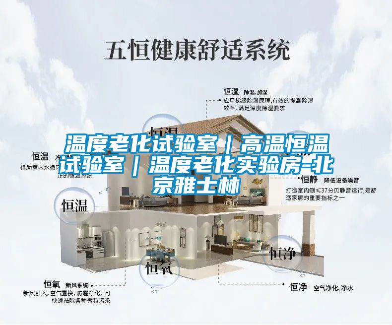 溫度老化試驗室｜高溫恒溫試驗室｜溫度老化實(shí)驗房-北京雅士林
