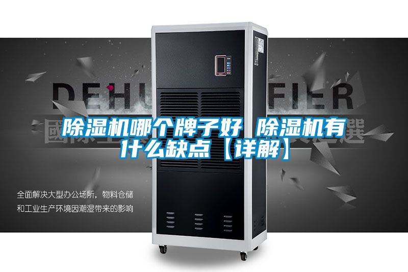 除濕機哪個(gè)牌子好 除濕機有什么缺點(diǎn)【詳解】