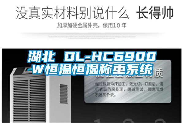 湖北 DL-HC6900W恒溫恒濕稱(chēng)重系統