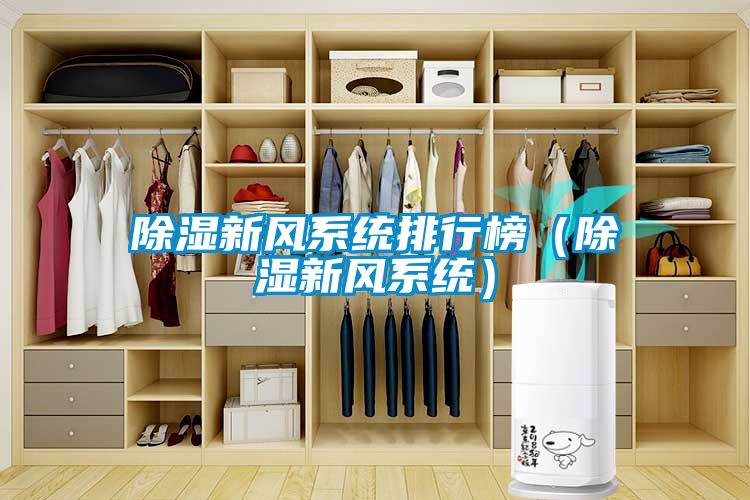 除濕新風(fēng)系統排行榜（除濕新風(fēng)系統）