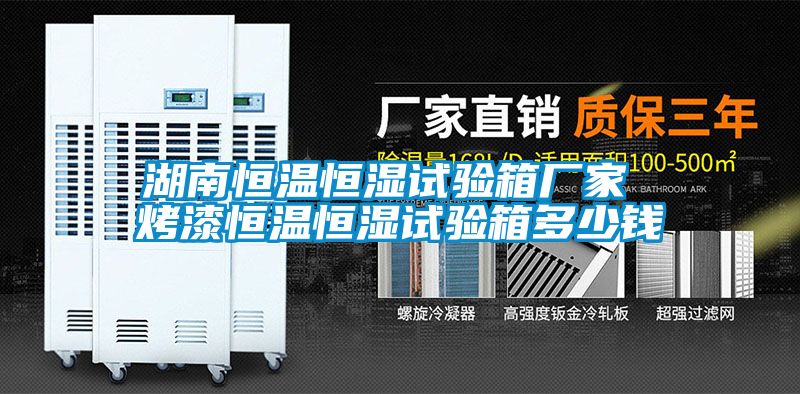 湖南恒溫恒濕試驗箱廠(chǎng)家 烤漆恒溫恒濕試驗箱多少錢(qián)