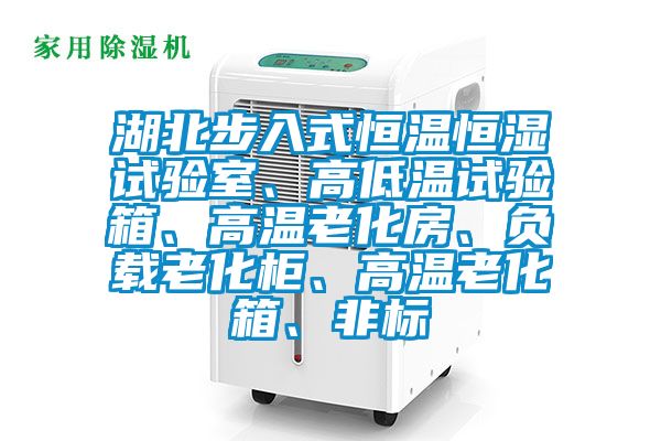 湖北步入式恒溫恒濕試驗室、高低溫試驗箱、高溫老化房、負載老化柜、高溫老化箱、非標