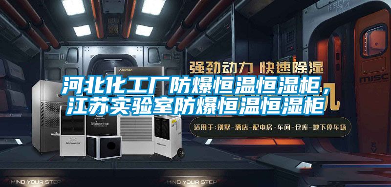 河北化工廠(chǎng)防爆恒溫恒濕柜，江蘇實(shí)驗室防爆恒溫恒濕柜