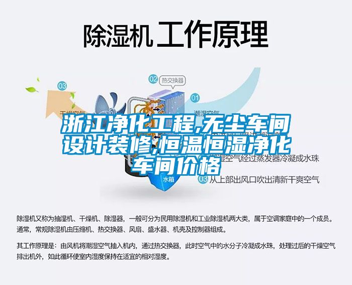 浙江凈化工程,無(wú)塵車(chē)間設計裝修,恒溫恒濕凈化車(chē)間價(jià)格