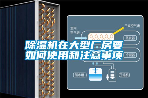 除濕機在大型廠(chǎng)房要如何使用和注意事項