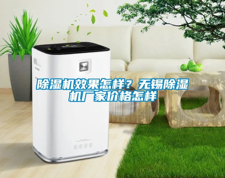 除濕機效果怎樣？無(wú)錫除濕機廠(chǎng)家價(jià)格怎樣