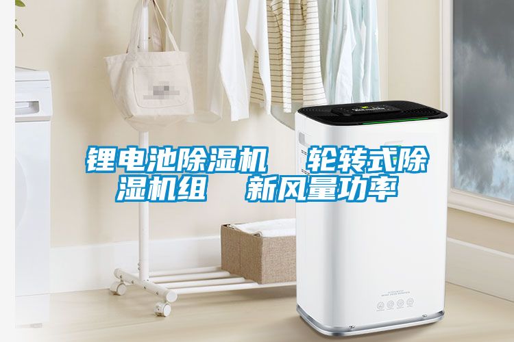 鋰電池除濕機  輪轉式除濕機組  新風(fēng)量功率