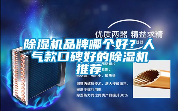 除濕機品牌哪個(gè)好？人氣款口碑好的除濕機推薦