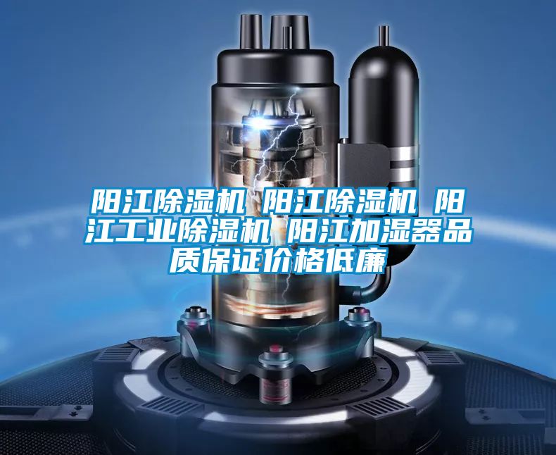 陽(yáng)江除濕機☆陽(yáng)江除濕機☆陽(yáng)江工業(yè)除濕機☆陽(yáng)江加濕器品質(zhì)保證價(jià)格低廉