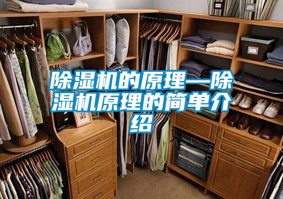除濕機的原理—除濕機原理的簡(jiǎn)單介紹