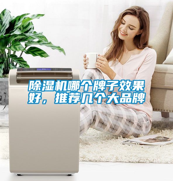 除濕機哪個(gè)牌子效果好，推薦幾個(gè)大品牌