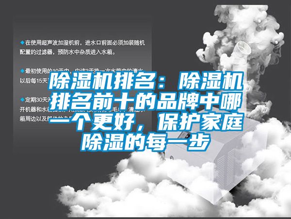 除濕機排名：除濕機排名前十的品牌中哪一個(gè)更好，保護家庭除濕的每一步